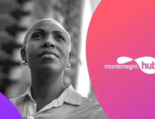 Montenegro Hub – Identidade Visual