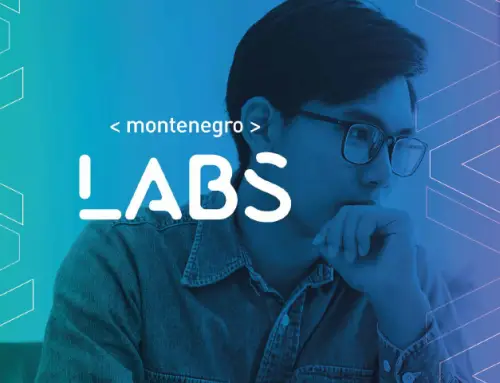 Montenegro Labs – Identidade Visual