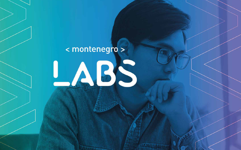 Identidade Visual Montenegro Labs